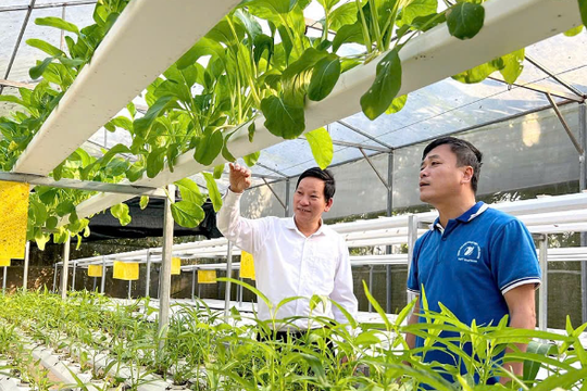 Tài chính xanh cho nông nghiệp - động lực mới trong xây dựng nông thôn mới