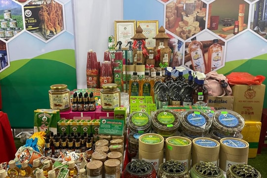 Quảng Ngãi gắn kết sản phẩm OCOP với dịch vụ du lịch nông thôn thúc đẩy xây dựng nông thôn mới hiệu quả