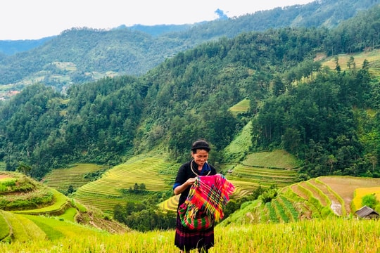 Du lịch Lào Cai khởi sắc mạnh mẽ, vượt kế hoạch với 10,5 triệu lượt khách năm 2025