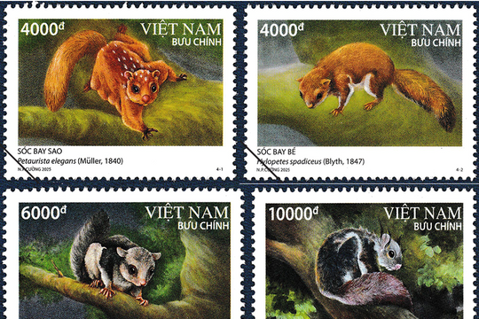 Issuance of "Squirrel" stamp set featuring species listed in Vietnam's red book