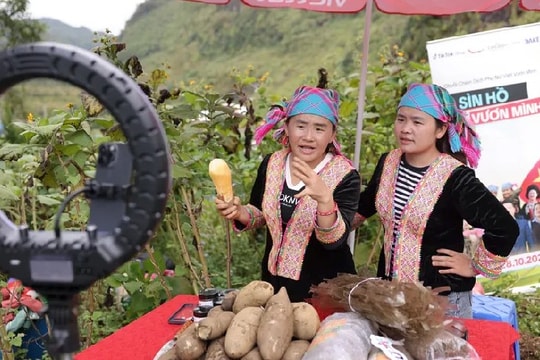 Ứng dụng công nghệ vào sản xuất, quảng bá và tiêu thụ sản phẩm các vùng miền