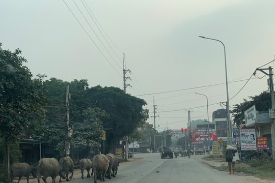 Nông thôn mới nâng tầm đời sống vùng cao Thái Nguyên