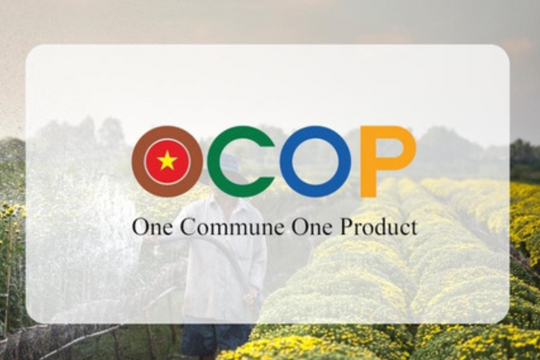 ‏Công nghệ hóa OCOP: Nâng tầm giá trị, giảm nghèo bền vững‏