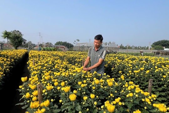 Khi khoa học công nghệ “nở hoa” trên mảnh đất quê hương