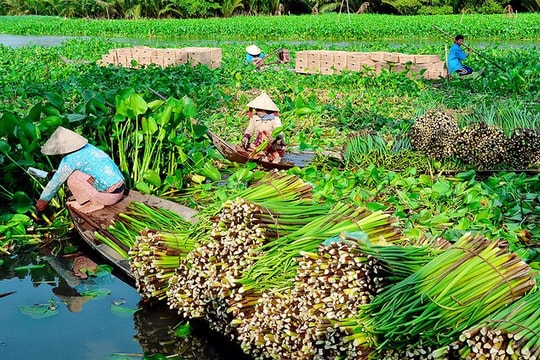 Phụ nữ nông thôn Ba Sao có thêm thu nhập từ nghề đan lục bình