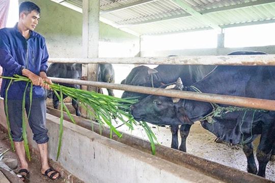 Nhiều kết quả nổi bật trong thực hiện ba Chương trình MTQG tại Thanh Hóa giai đoạn 2021 - 2025