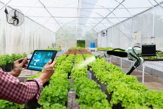 Nâng cao tư duy sản xuất, tạo nền tảng xây dựng nông thôn mới bền vững