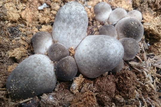 Tây Nam Bộ đột phá trong giảm nghèo đa chiều