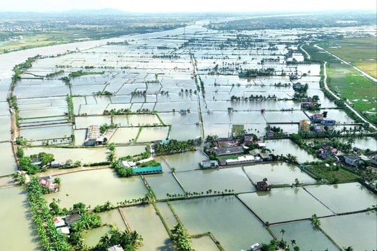 Từ lợi thế sinh thái đến thoát nghèo bền vững: Triển vọng của nghề rươi Vĩnh Thuận