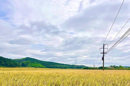 Tuyên Quang thúc đẩy giảm nghèo bền vững từ hạ tầng thông tin