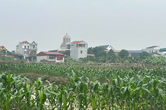 Thanh Hóa: Coi giảm nghèo là là trách nhiệm chính trị thường xuyên