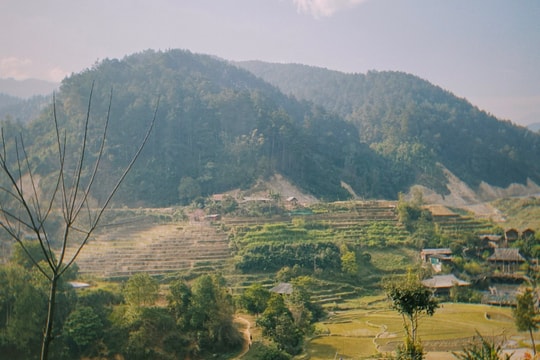 Xã Phong Thổ (Lai Châu) đa dạng sinh kế thoát nghèo bền vững