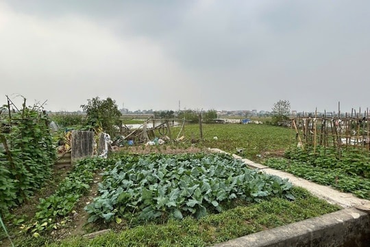 Hưng Yên thúc đẩy ứng dụng khoa học kỹ thuật nâng cao đời sống người dân nông thôn