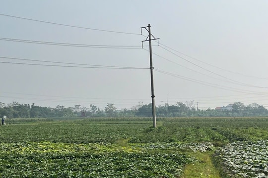 Tuyên Quang: Động lực mới cho xây dựng nông thôn mới xanh, bền vững