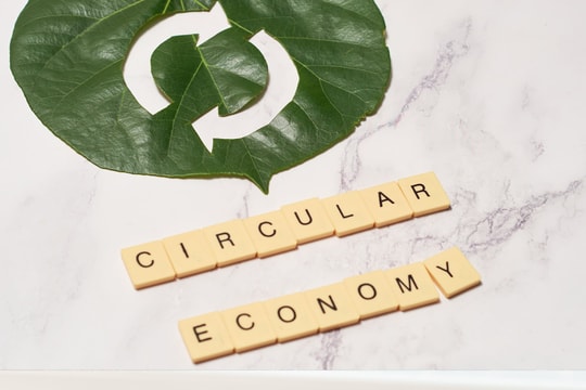 Philippines ứng dụng AI tại Mindanao để thúc đẩy nông nghiệp bền vững