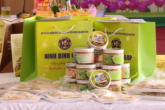 Ninh Bình vững bước trên hành trình xây dựng nông thôn mới