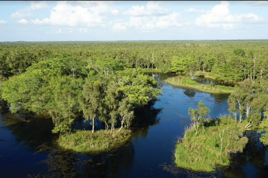 Chương trình nông thôn mới giúp U Minh Thượng vượt “lõi than bùn”, xác lập chuẩn mới về nước sạch