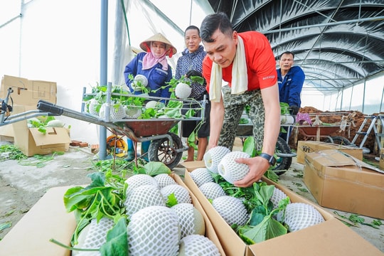 Xã Trường Tân bứt phá với nông nghiệp công nghệ cao