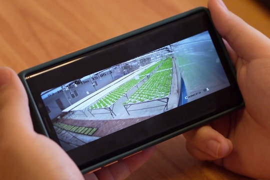 Nông nghiệp thông minh: Hướng đi mới trong giảm nghèo bền vững