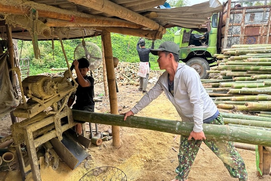 Nhiều địa phương đẩy mạnh hỗ trợ đào tạo nghề gắn với nhu cầu tuyển dụng thực tế