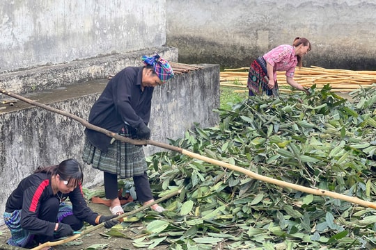 Đảm bảo chi trả trợ cấp xã hội và hỗ trợ an sinh kịp thời cho hộ nghèo, hộ yếu thế