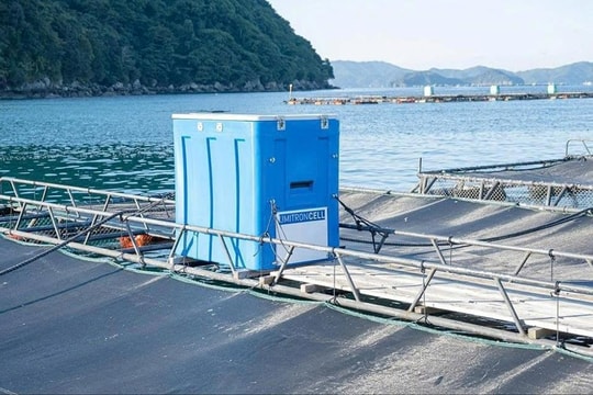 Máy cho cá ăn tự động bằng AI: Bước tiến trong nuôi trồng thuỷ sản bền vững