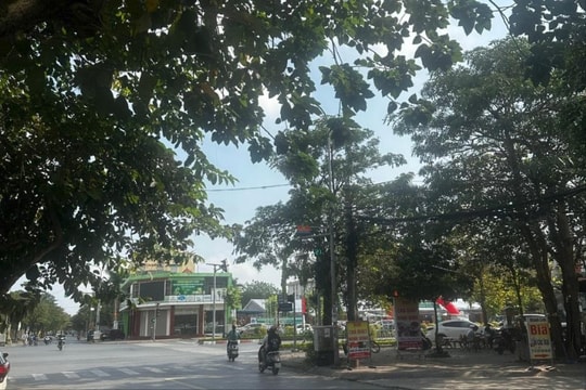 Lâm Đồng nỗ lực xóa đói giảm nghèo bền vững