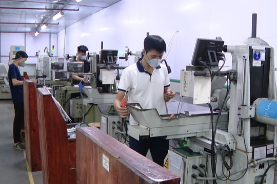 Kinh tế số ở tỉnh Thái Bình: Thực trạng, kết quả bước đầu và định hướng phát triển