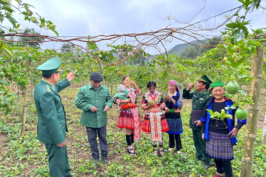 Chuyển đổi mô hình sản xuất: Hướng đi then chốt trong giảm nghèo đa chiều