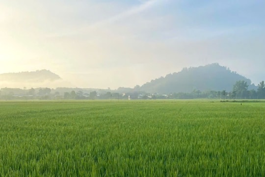 Khuyến nông cộng đồng: “Cầu nối” tri thức, thị trường, góp phần giảm nghèo đa chiều ở nông thôn