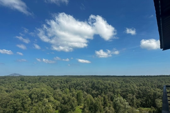 Tìm lời giải cho bài toán giảm nghèo bền vững ở Đồng bằng sông Cửu Long