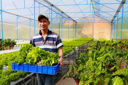 Lâm Đồng thúc đẩy chuyển đổi số trong xây dựng nông thôn mới