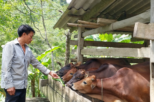 Lào Cai thúc đẩy xây dựng nông thôn mới theo hướng bền vững