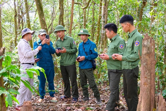Chuyển đổi số - Động lực nâng cao hiệu quả quản lý và phát triển bền vững ngành lâm nghiệp