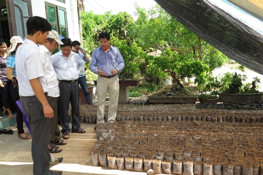 Ứng dụng khoa học công nghệ - “chìa khóa” phát triển nông nghiệp bền vững ở miền núi phía Bắc