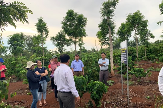 Xây dựng nông thôn mới giai đoạn 2026-2035: Động lực then chốt cho giảm nghèo bền vững và phát triển bao trùm