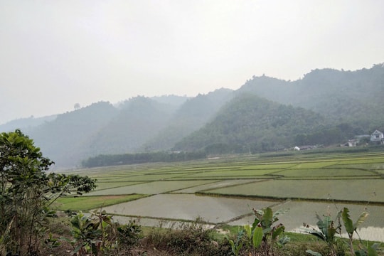 Xây dựng tầm nhìn chiến lược và toàn diện hơn cho giảm nghèo bền vững