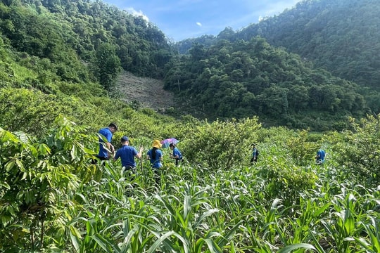 Giảm gần 4% hộ nghèo mỗi năm - Bước chuyển thực chất ở Điện Biên