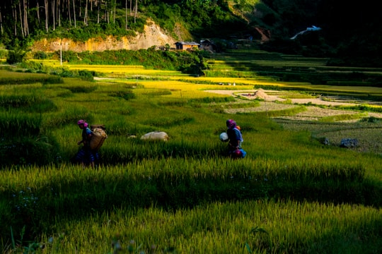 Phát triển du lịch xanh gắn với bảo tồn văn hóa ở vùng cao, biên giới