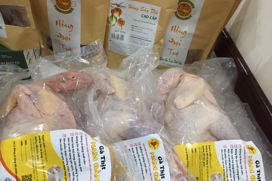 Hợp tác xã - trụ cột quan trọng trong xây dựng nông thôn mới