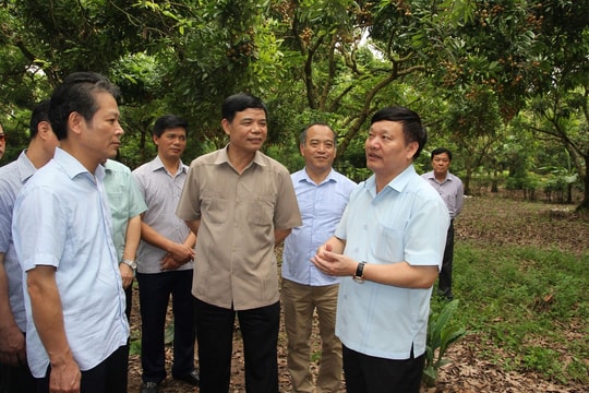 Phát huy vai trò khoa học và công nghệ trong xây dựng nông thôn mới bền vững tại Ninh Bình