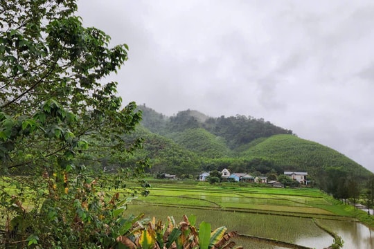 Những mục tiêu và con số ấn tượng trong xây dựng nông thôn mới 2025