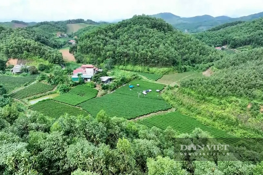 Thái Nguyên nâng cao giá trị nông sản từ mô hình hợp tác xã chăn nuôi hiện đại