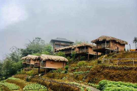 Farmstay: Cú hích thúc đẩy du lịch nông thôn bền vững