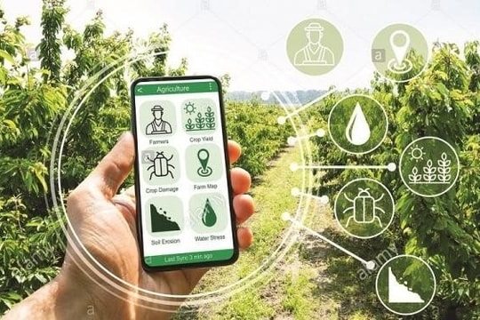 Nông thôn mới thông minh: Khởi đầu của "kỷ nguyên số" tại làng quê Việt Nam