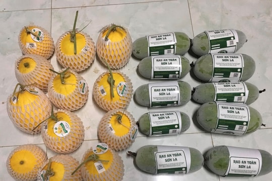 Liên kết chuỗi giá trị giúp nông dân Mường Tấc thoát nghèo bền vững