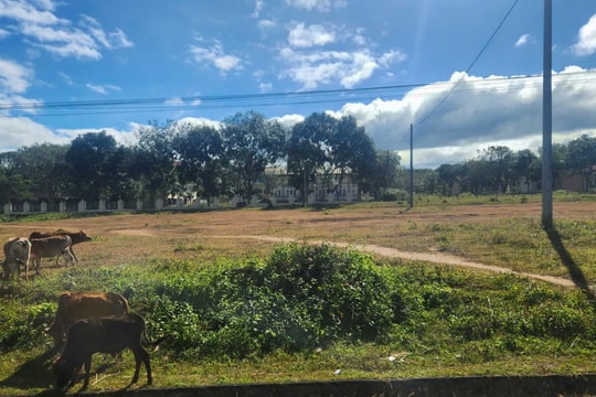 Hợp tác xã - Đòn bẩy nâng tầm sản phẩm COOP giai đoạn 2021-2025