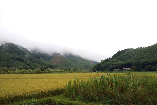 Chuyển đổi số cho đồng bào miền núi: Cơ hội bứt phá và thách thức