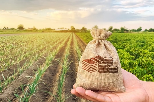 Nâng cao thu nhập cho nông dân: Trụ cột vững chắc xây dựng nông thôn mới