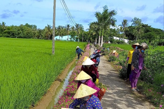 Phát triển nông nghiệp ứng dụng công nghệ cao thích ứng với biến đổi khí hậu